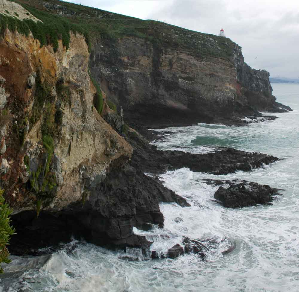 196 - Nueva Zelanda - Dunedin, peninsula de Otago, panoramica